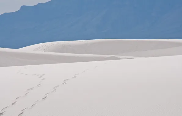 Picture sand, traces, desert