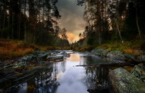 Autumn, nature, river