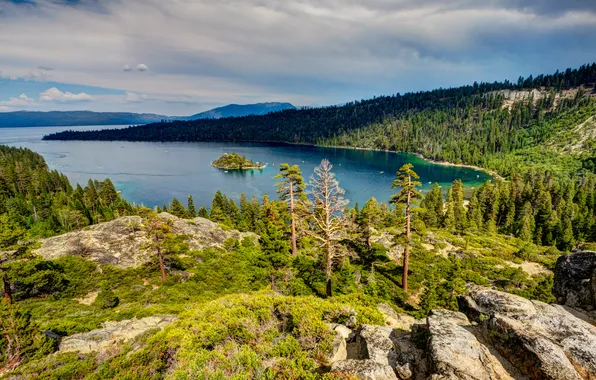 Forest, trees, mountains, lake, stones, boats, CA, USA