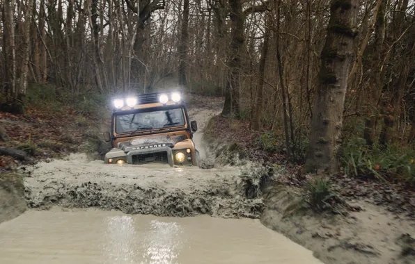 Picture Dirt, Land Rover, Yellow, SUV, Defender, Land Rover, 2021, 405 hp