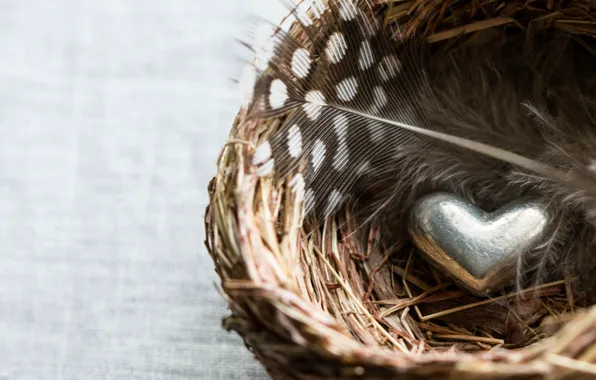 Feathers, socket, hearts
