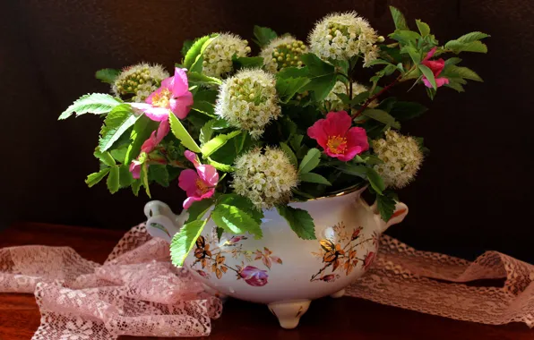 Picture branches, briar, lace, vase, Spiraea