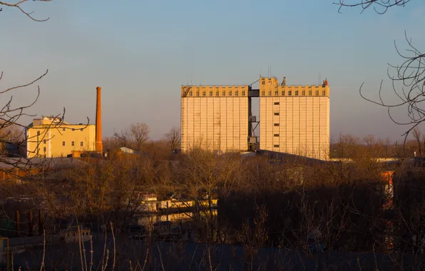 The sky, trees, plant, building, the evening, Russia, architecture, Stan