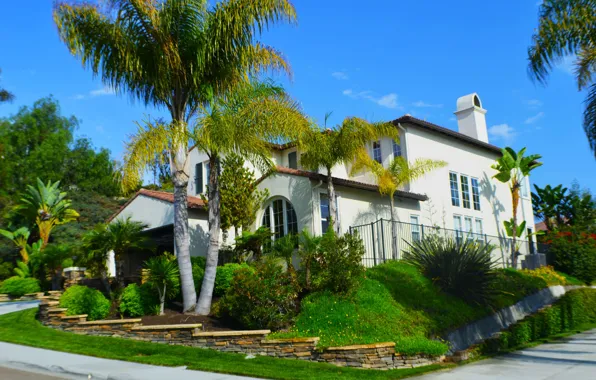 Palm trees, Villa, San Diego