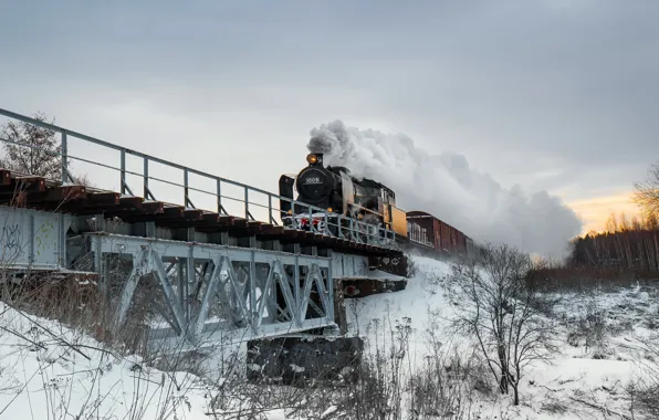 Winter, bridge, train, the engine