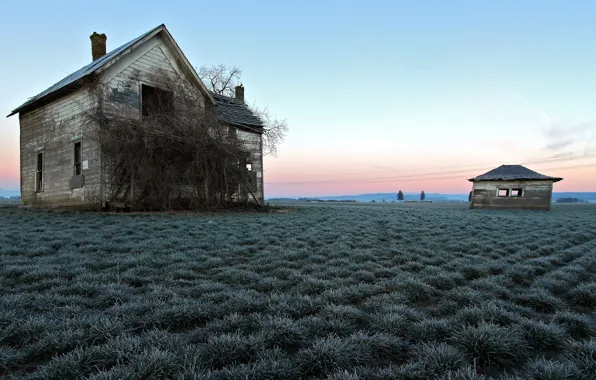 Picture field, landscape, color, home