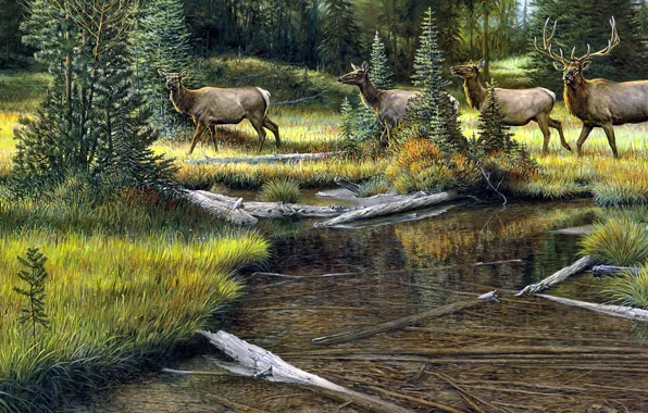 Forest, shore, figure, picture, deer, art, painting, pond