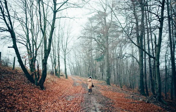 Picture autumn, forest, girl, trees, hat, people, jacket