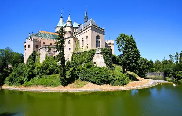 Greens, trees, pond, castle, the bushes, ditch, Slovakia, Castle Bojnice