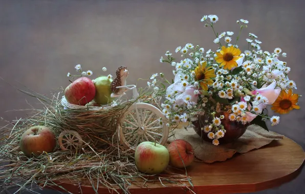 Apples, chamomile, bouquet, hay, still life, hedgehog, figure, gelenium