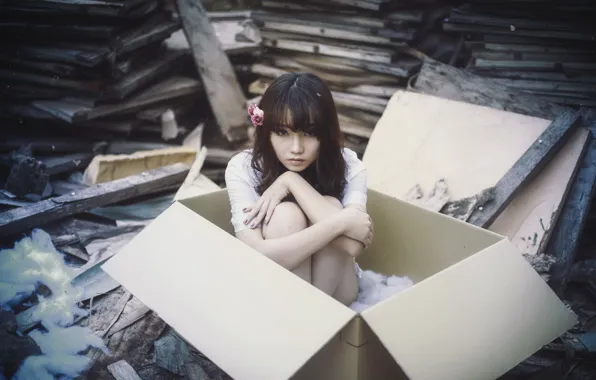 Girl, box, Asian