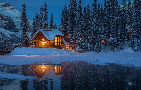Picture winter, forest, snow, trees, mountains, lights, lake, the evening