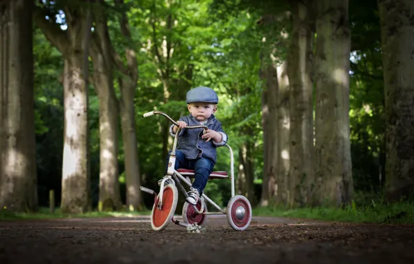 Bike, boy, male
