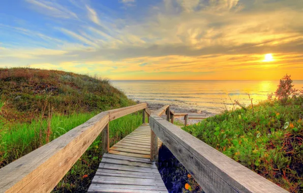 Picture landscape, nature, beauty