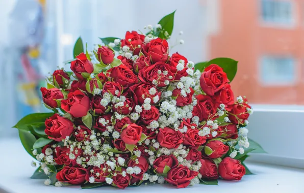 Roses, bouquet, the bride's bouquet, red roses