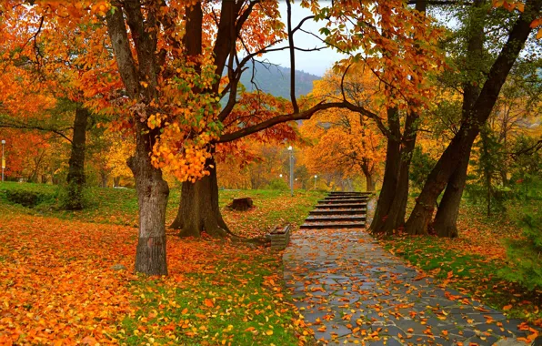 Picture Autumn, Trees, Park, Fall, Foliage, Park, Autumn, Colors