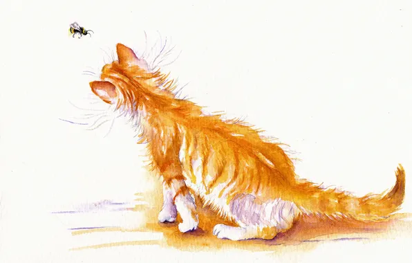 Cat, cat, watercolor, bee