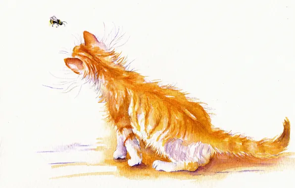 Picture cat, cat, watercolor, bee