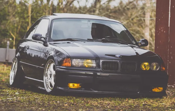 Picture Autumn, BMW, Leaves, Black, BMW, stance, E35