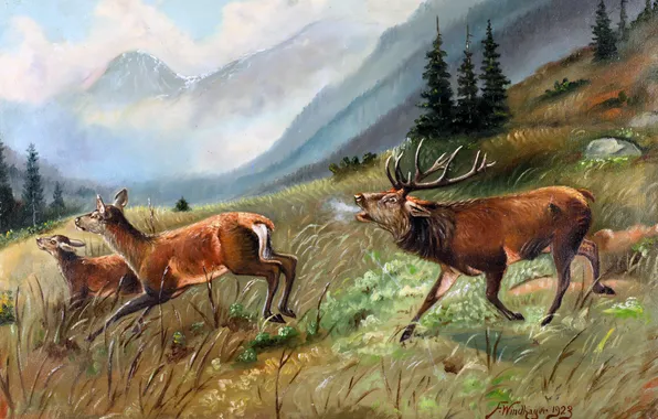 Mountains, Grass, Picture, Deer, Austrian artist, The Roaring Deer, Franz Windhager, Franz Windhager