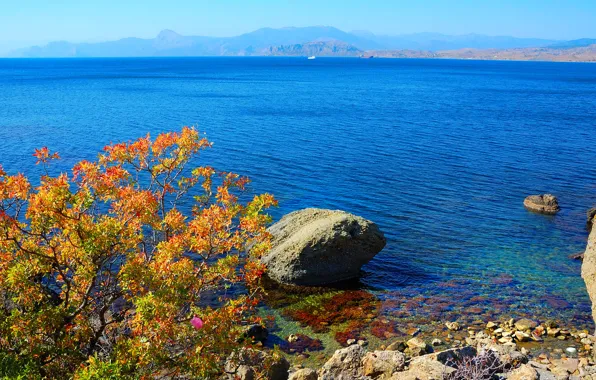 Water, mountains, branches, stones, shore, coast, the bushes, Crimea