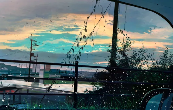Picture auto, window, the city, drops