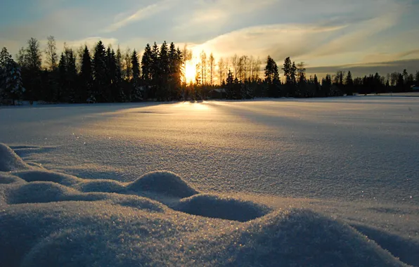 Cold, winter, the sun, snow, Nature, nature, winter, snow