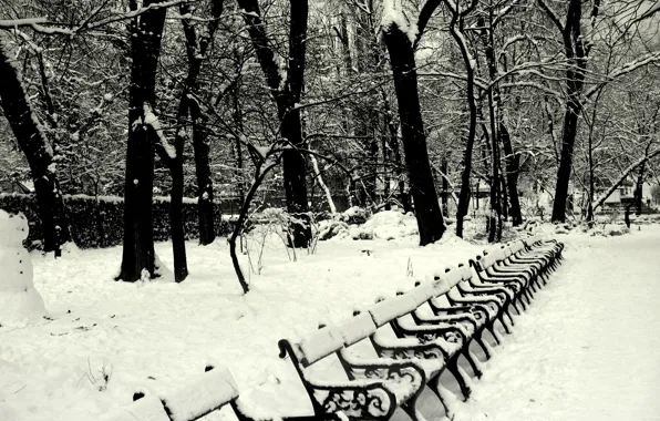 Picture Winter, Snow, Park, Winter, Frost, Park, Snow, Benches