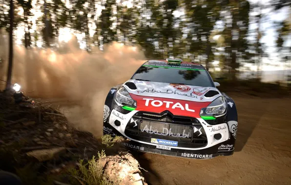 Picture Dust, Forest, Citroen, DS3, WRC, Rally, Rally, Blur