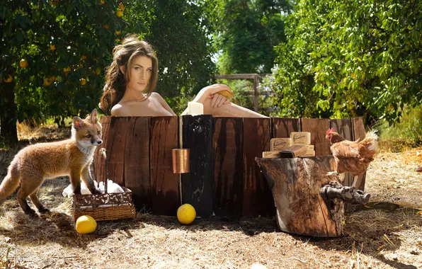 Stump, chicken, garden, soap, Fox, bath, Christine Hinton
