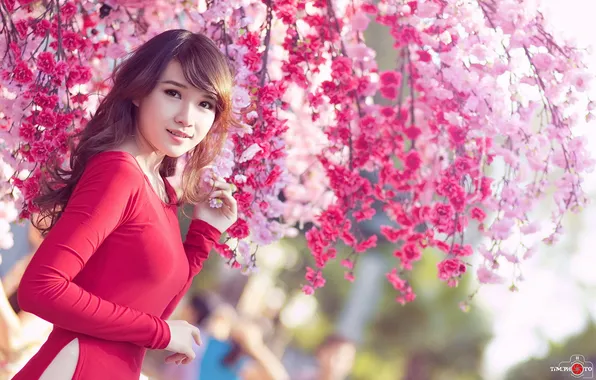 Picture girl, background, Asian