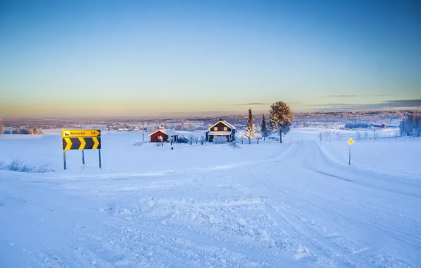 Cold, winter, road, forest, snow, trees, mountains, home