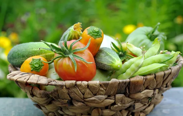 Cucumber, vegetables, tomato, beans, zucchini