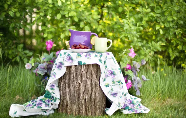 Picture summer, nature, berries, stump, garden, plate, Cup, pitcher