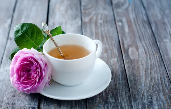 Rose, rose, flower, pink, cup, tea, Cup of tea