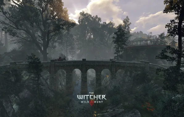 Picture The Witcher, DLC, CD Projekt RED, The Witcher 3: Wild Hunt, Geralt, The Witcher 3 …