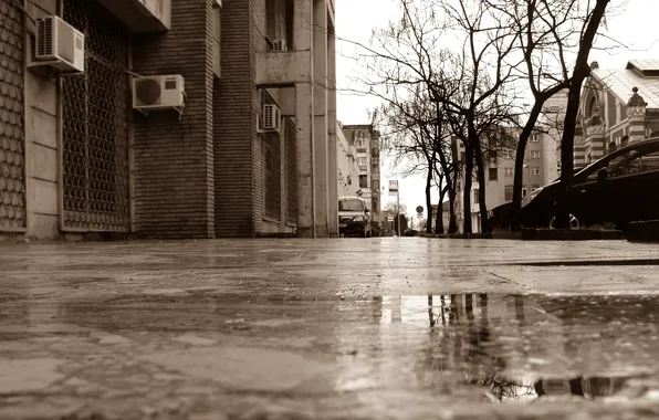 Picture the city, street, Sepia, rainy day