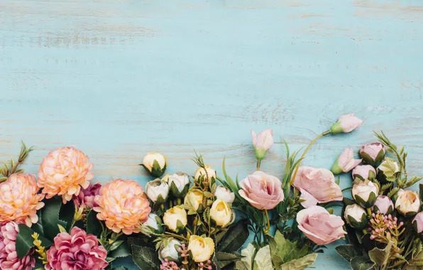 Flowers, background, roses, colorful, buds, wood, flowers, roses