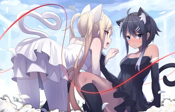Girls, anime, pair, neko