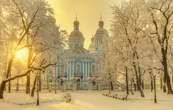 Picture winter, snow, trees, the city, Peter, Saint Petersburg, Gordeev Edward, Eduard Gordeev