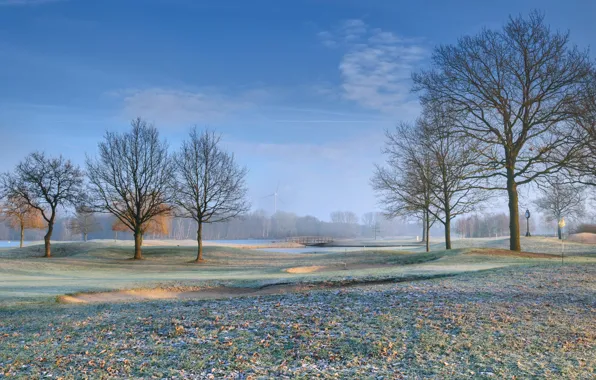 Leaves, trees, field, golf course, frost