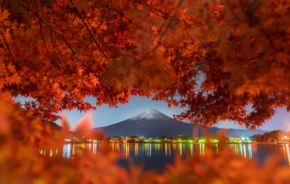 Picture autumn, landscape, branches, nature, mountain, the volcano, Japan, Fuji