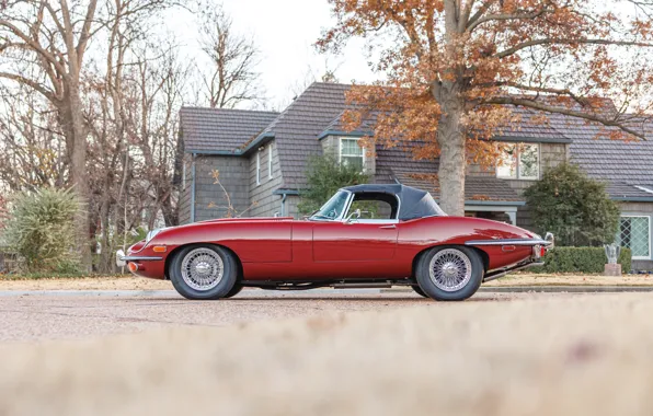 Picture Jaguar, E-Type, 1970, Jaguar E-Type, side view