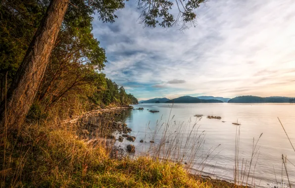 The sky, clouds, trees, mountains, lake, shore