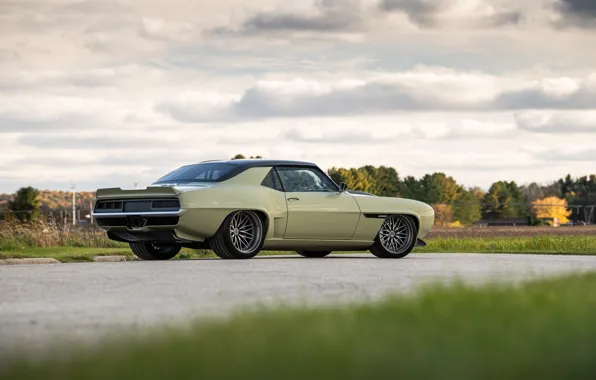Road, Grass, Trees, Chevrolet, Wheel, 1969, Camaro, Drives