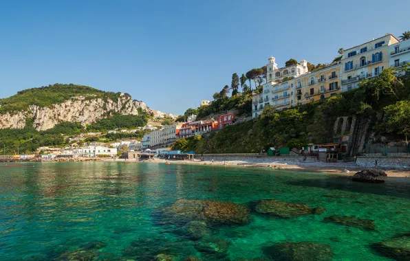 Sea, trees, landscape, nature, the city, stones, rocks, shore