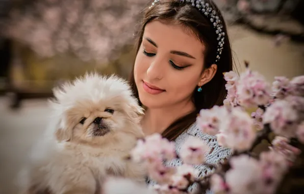 Picture girl, nature, spring, makeup, brunette, dog, flowering, doggie