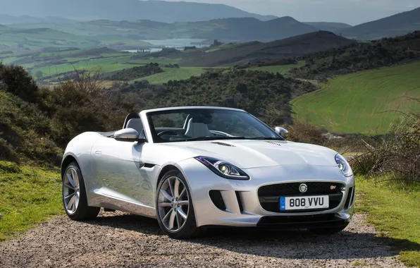 Picture landscape, background, Jaguar, Jaguar, the front, F-tayp, F-Type S