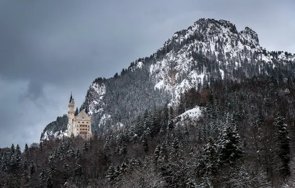 Winter, forest, mountain, Germany, Bayern, Germany, Bavaria, Neuschwanstein Castle