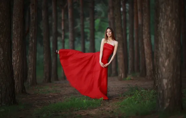 Picture forest, girl, grace, red dress, balance